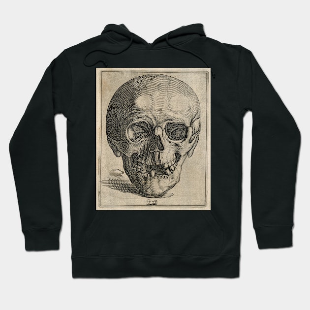 Anterior Skull, Unknown Hoodie by nickedenholm